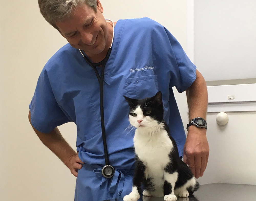 Durham veterinarian Dr. Windram with cat
