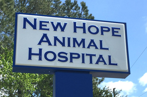 Veterinarian in Durham, NC | New Hope Animal Hospital
